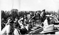 kgotla