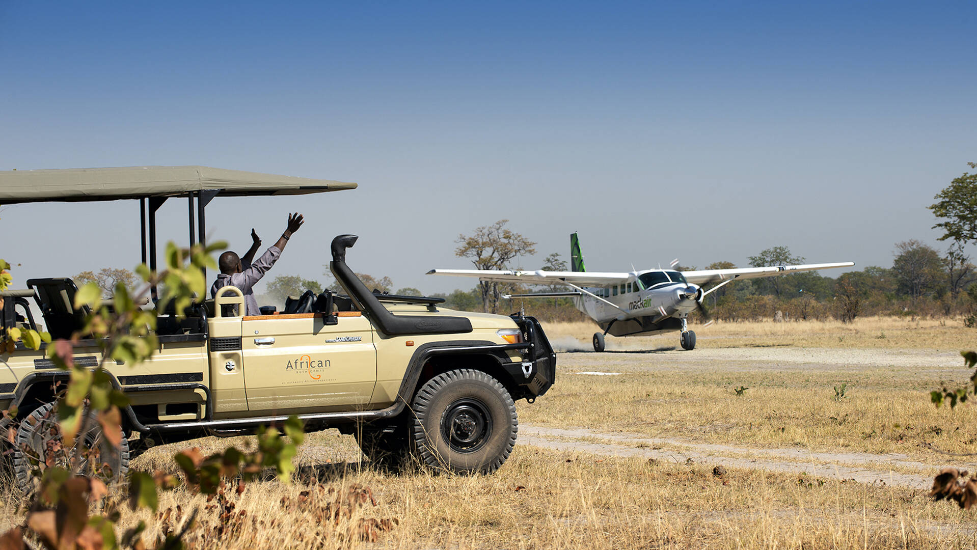 Safari